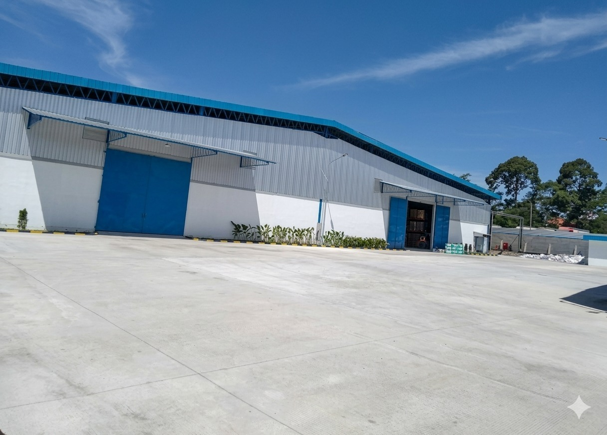 Discover Your Favorite Toy World